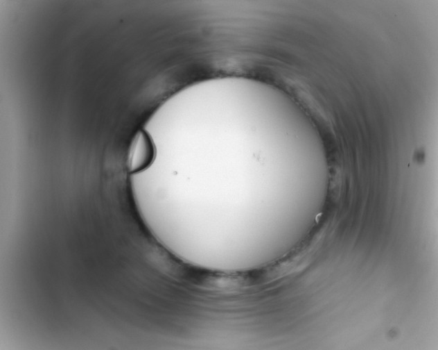 X0000103310466200809191921