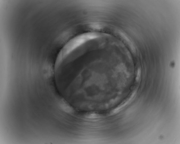 X0000103310467200809191921