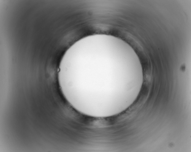 X0000103310468200809191921
