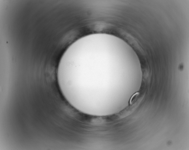 X0000103310470200809191921