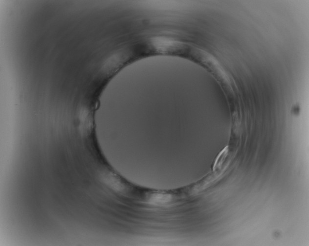 X0000103310471200809191921