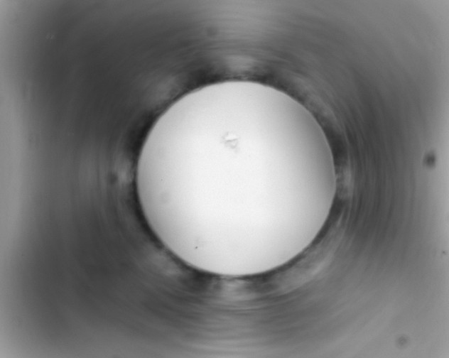X0000103310472200809191921
