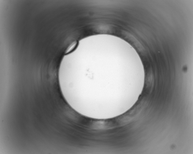 X0000103310473200809191921