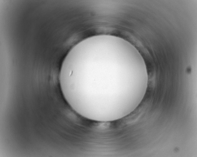 X0000103310474200809191921