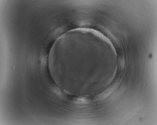 X0000103310475200809191921