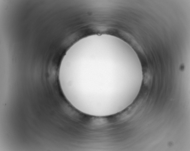 X0000103310476200809191921
