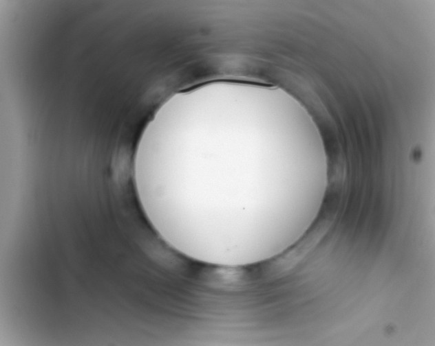 X0000103310478200809191922