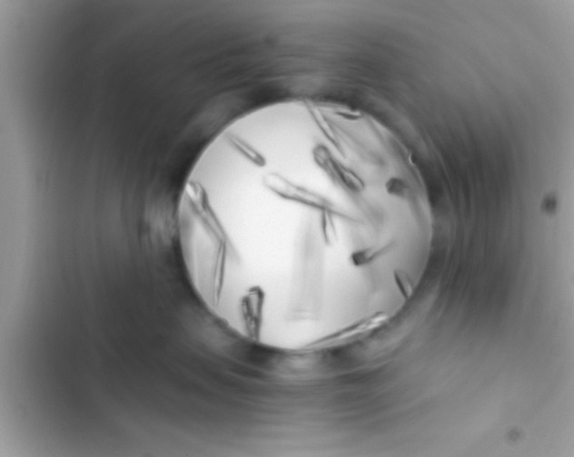 X0000103310479200809191922