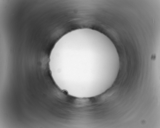 X0000103310480200809191922