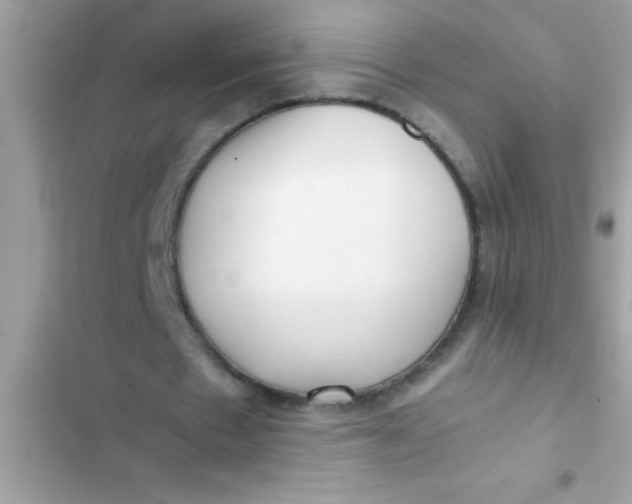 X0000103310481200809191921