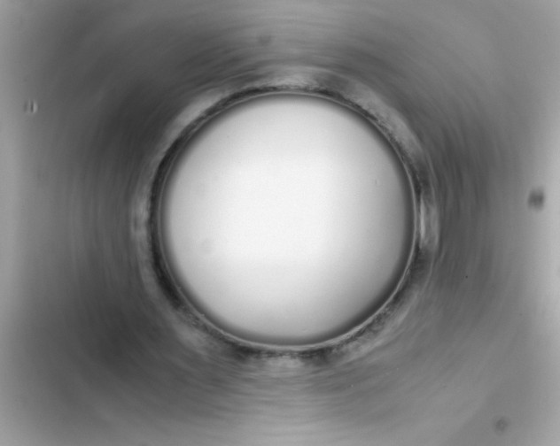 X0000103310483200809191921