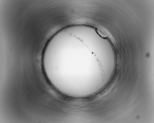 X0000103310485200809191921
