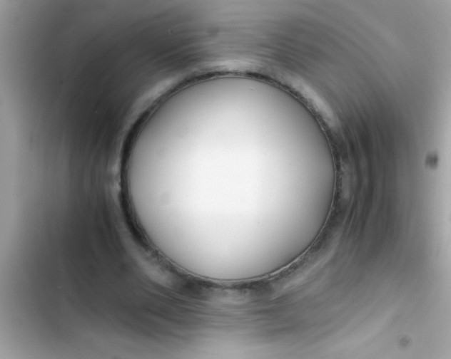 X0000103310486200809191921