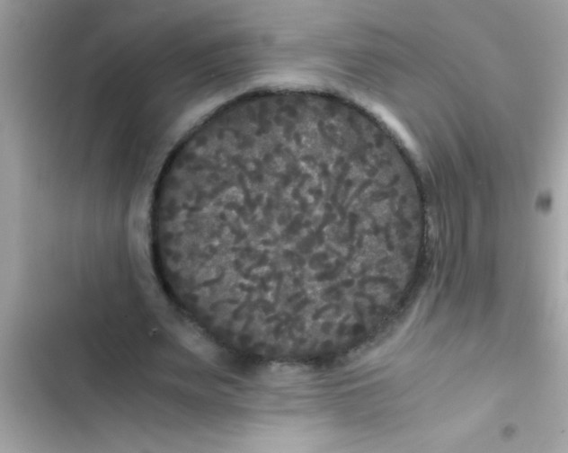 X0000103310487200809191921