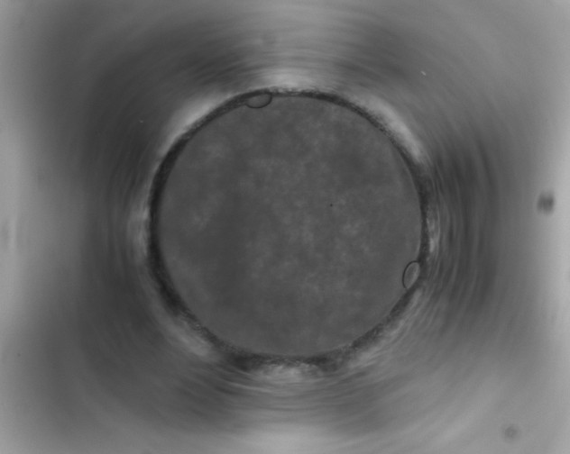 X0000103310488200809191921