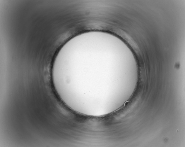 X0000103310489200809191921