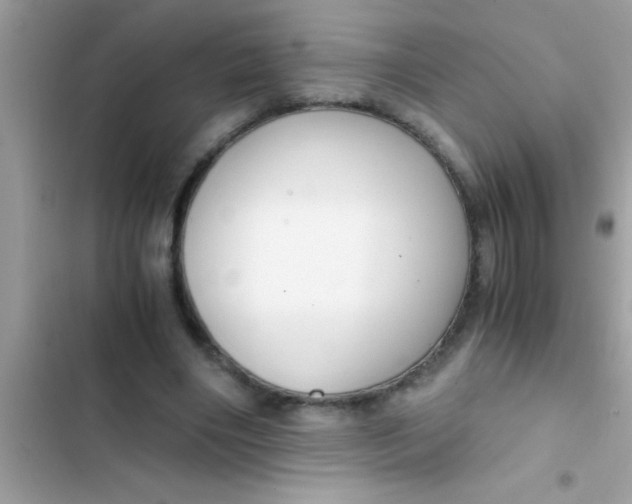 X0000103310490200809191921