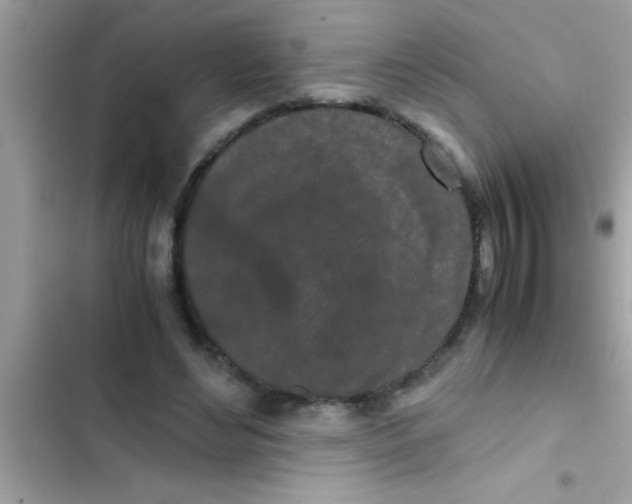 X0000103310492200809191921