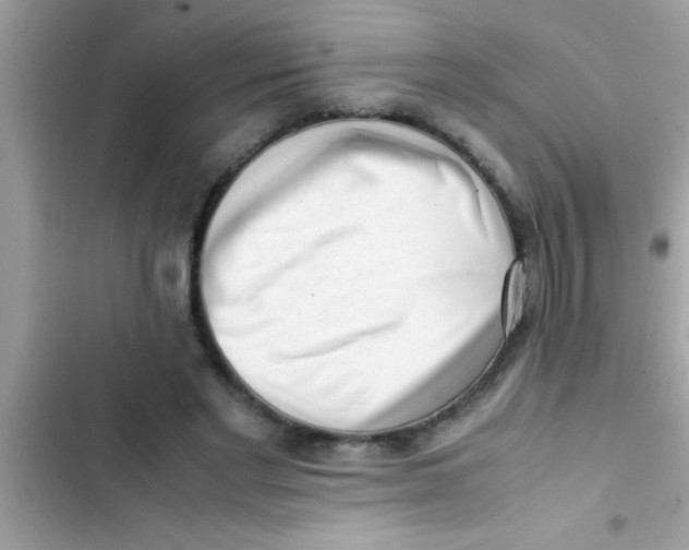 X0000103310493200809191921