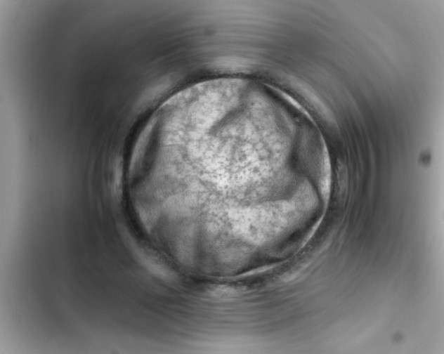 X0000103310494200809191921