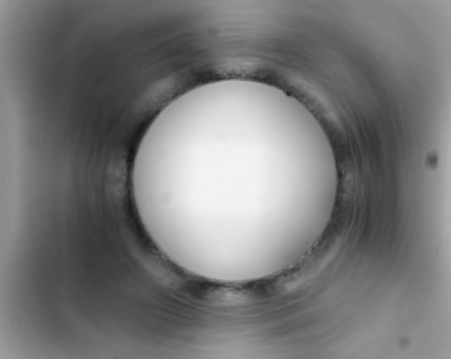X0000103310498200809191920