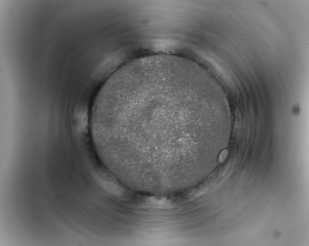 X0000103310502200809191920