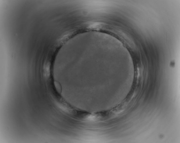 X0000103310504200809191920