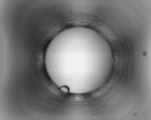 X0000103310506200809191920