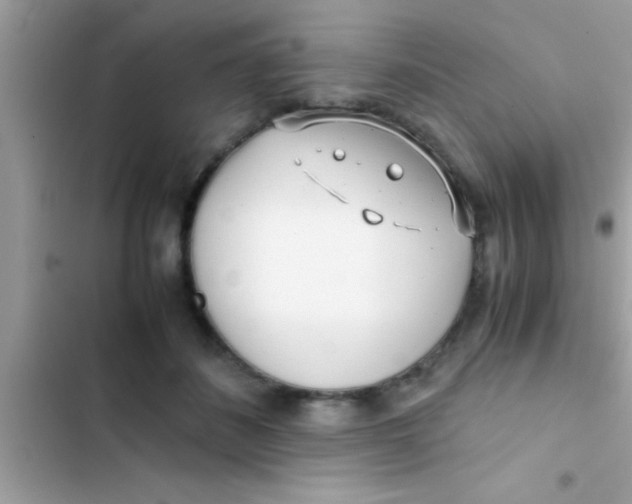 X0000103310508200809191920