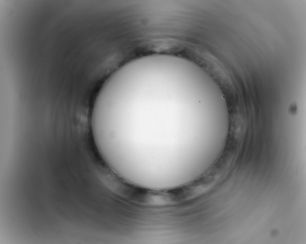 X0000103310510200809191920