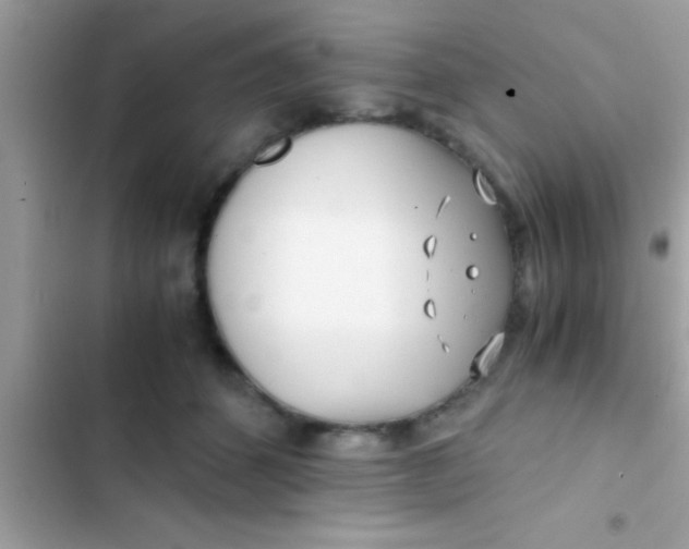 X0000103310512200809191920
