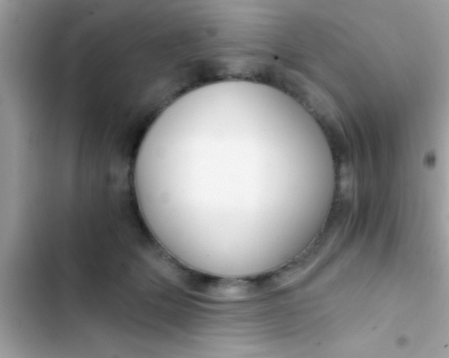 X0000103310514200809191920