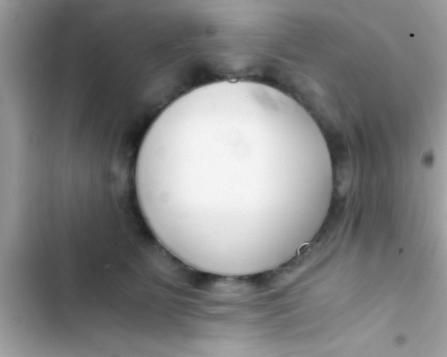 X0000103310515200809191920