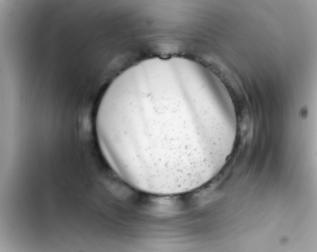 X0000103310516200809191920