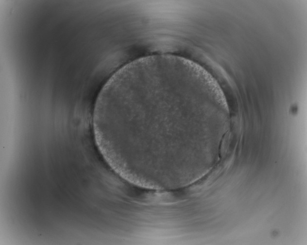 X0000103310517200809191920