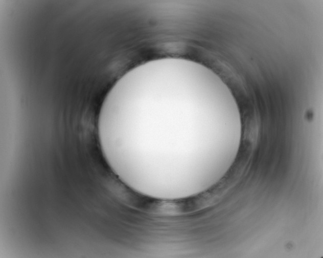 X0000103310518200809191920