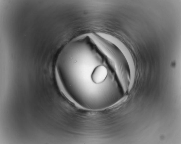 X0000103310520200809191920