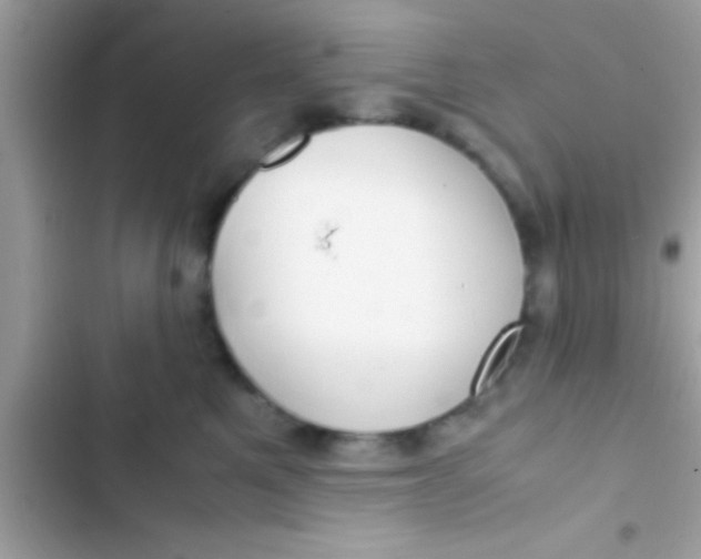 X0000103310521200809191920
