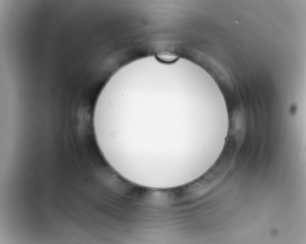 X0000103310522200809191920