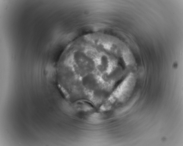 X0000103310527200809191920