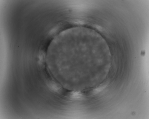 X0000103310528200809191920