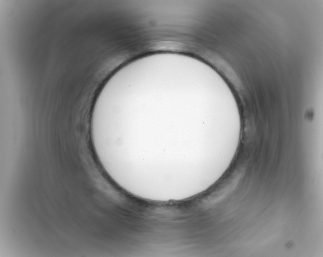 X0000103310529200809191919