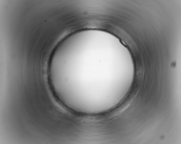 X0000103310530200809191919