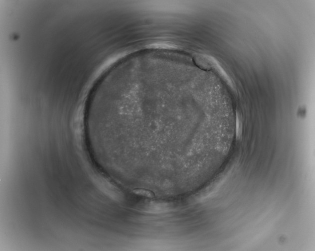 X0000103310531200809191919