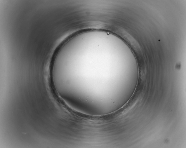 X0000103310532200809191919