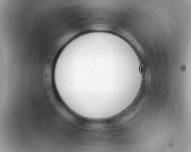 X0000103310533200809191919