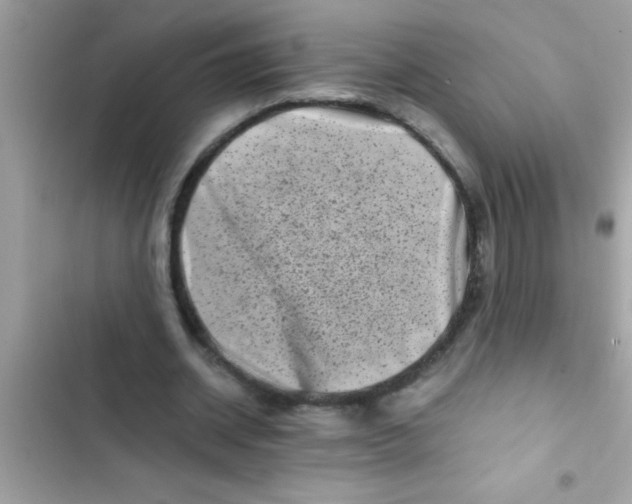 X0000103310534200809191919