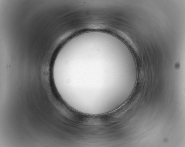 X0000103310535200809191919