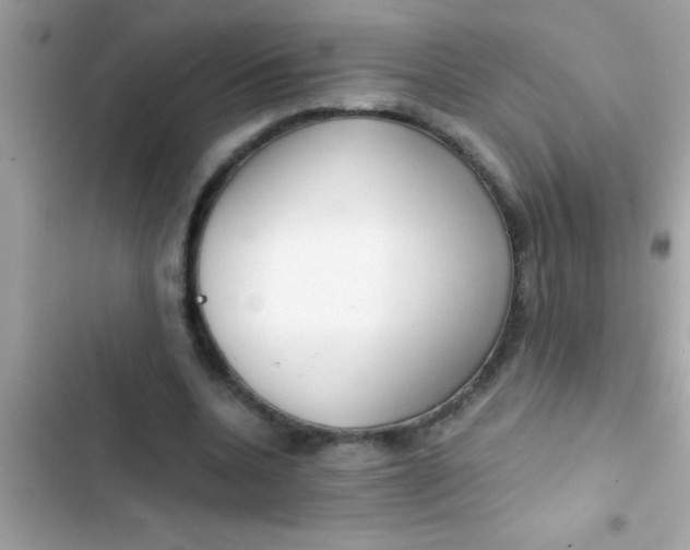 X0000103310536200809191919
