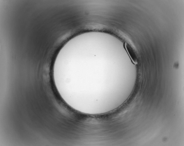 X0000103310538200809191920